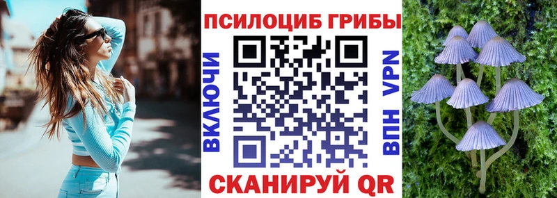 Псилоцибиновые грибы Magic Shrooms  что такое наркотик  Новохопёрск 